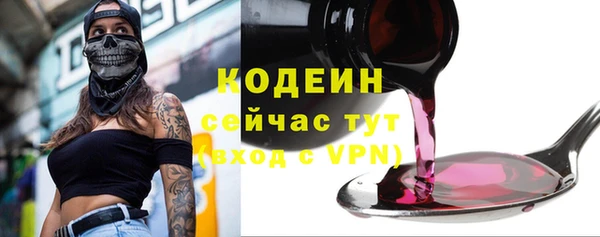 эйфоретик Алзамай