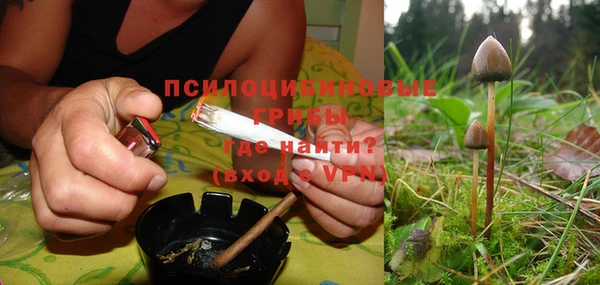 эйфоретик Алзамай